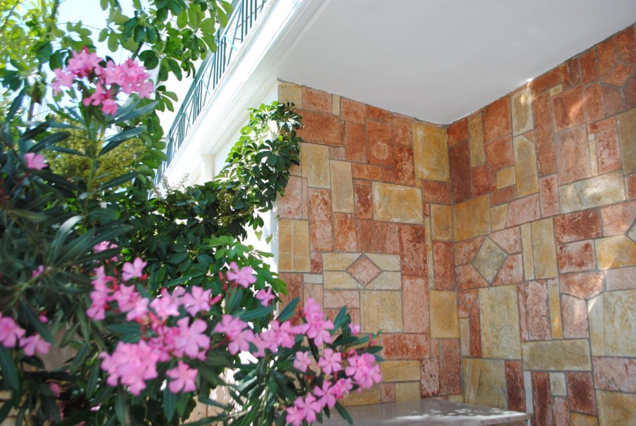 كساميل Hotel Mikela المظهر الخارجي الصورة